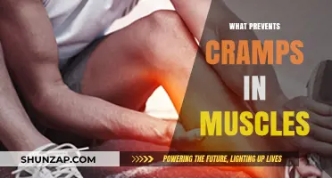 Cramp Prevention: Strategies for Muscle Health and Comfort