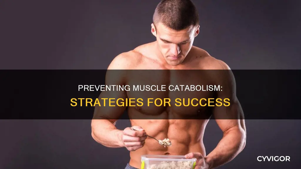 what prevents muscle catabolism