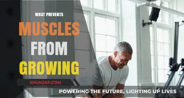 Overcoming Growth Barriers: Key Factors That Prevent Muscle Development