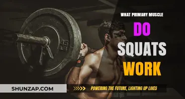 Squats: Unlocking the Power of Your Primary Muscle Group