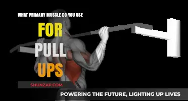 Mastering Pull-Ups: The Key Primary Muscle You Engage