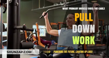 Cable Pull-Down: Targeting the Latissimus Dorsi for Stronger Backs