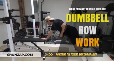 Dumbbell Row: Targeting Your Primary Back Muscle for Strength