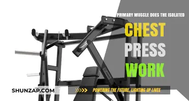 Isolated Chest Press: Targeting the Primary Pectoral Muscles Effectively