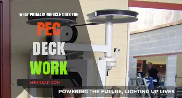 Unveiling the Pec Deck's Primary Muscle Target: A Comprehensive Guide