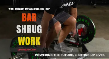Trap Bar Shrug: Targeting the Primary Muscles for Strength and Power