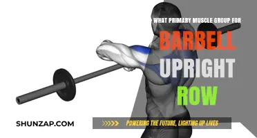 Barbell Upright Row: Targeting Your Primary Muscle Group Effectively