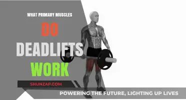 Deadlifts: Unlocking Strength by Targeting Key Muscle Groups