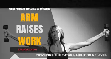 Forward Arm Raises: Targeting Key Muscles for Strength and Tone