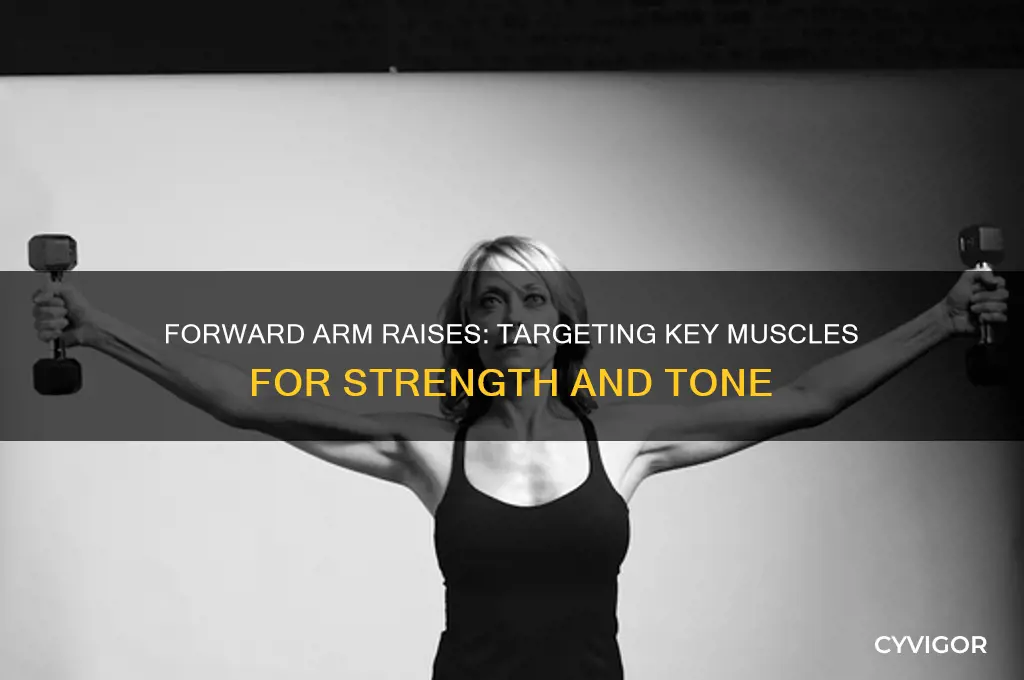 what primary muscles do forward arm raises work
