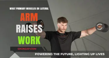 Lateral Arm Raises: Targeting Primary Muscles for Stronger Shoulders
