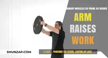 Prone 45-Degree Arm Raises: Target Muscles and Benefits Explained