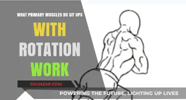 Sit Ups with Rotation: Targeting Core, Obliques, and Back Muscles