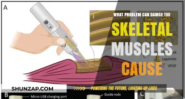 Skeletal Muscle Damage: Causes, Symptoms, and Long-Term Health Implications