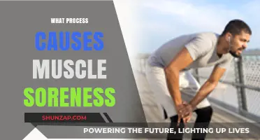 Understanding Delayed Onset Muscle Soreness: Causes and Recovery Mechanisms