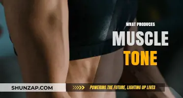 How to Develop Muscle Tone and Definition