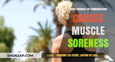 Lactic Acid: The Fermentation Byproduct Behind Your Muscle Soreness