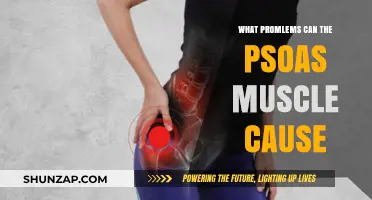 Psoas Muscle Issues: Uncovering Hidden Causes of Pain and Discomfort