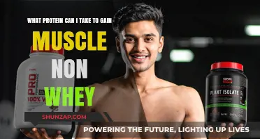 Top Non-Whey Protein Sources for Effective Muscle Gain