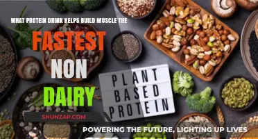 Top Non-Dairy Protein Drinks for Rapid Muscle Growth Revealed