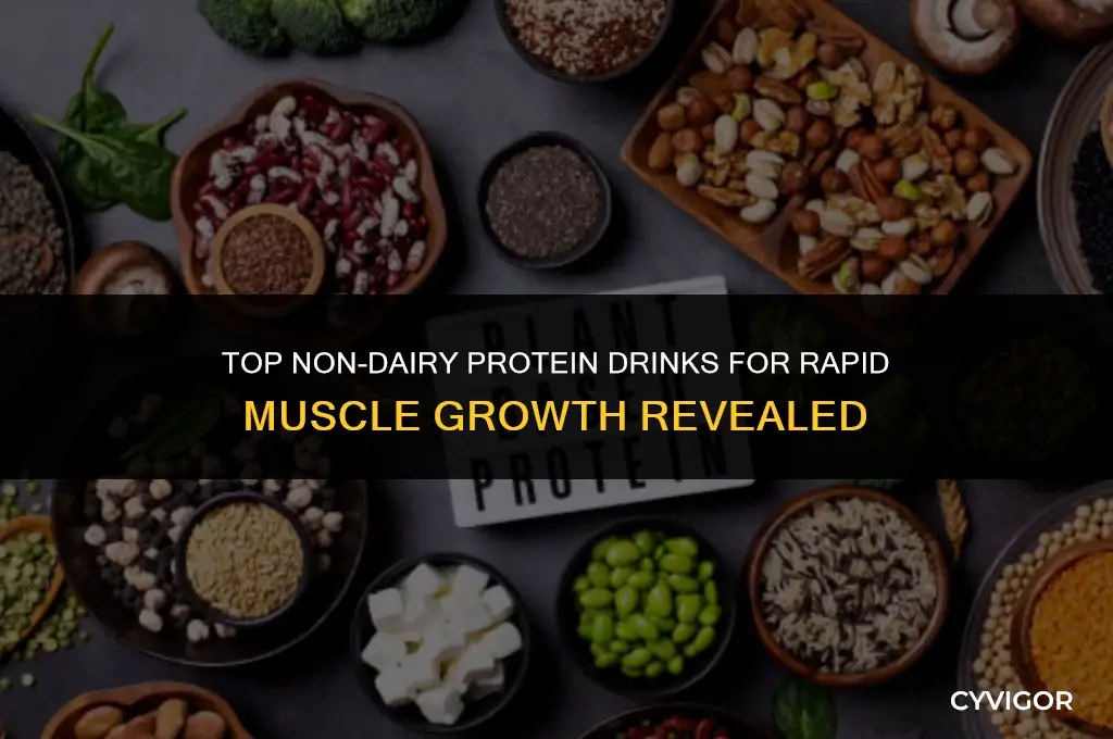 what protein drink helps build muscle the fastest non dairy