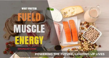 Protein Power: Muscle Energy Explained