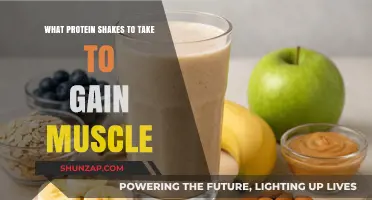 Best Protein Shakes for Muscle Gain: Top Picks and Tips