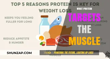 Muscle-Building Proteins: What to Eat to Gain Mass