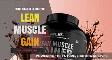 Best Protein Choices for Building Lean Muscle Mass Effectively