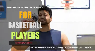 Best Protein Supplements for Basketball Players to Build Muscle Fast