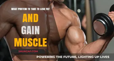 Best Protein Choices for Fat Loss and Muscle Gain