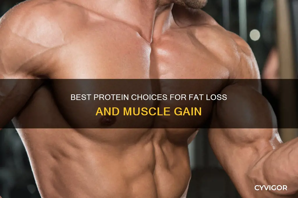 what protein to take to lose fat and gain muscle
