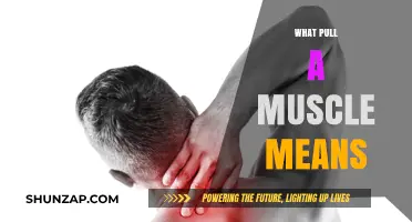 Understanding Muscle Pulls: Causes, Symptoms, and Effective Recovery Tips
