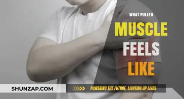Understanding the Pain: What a Pulled Muscle Really Feels Like