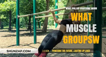 Pull-Up Variations: Targeted Muscle Activation for Strength and Growth