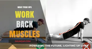 Push-Ups for Back Strength: Targeting Muscles Beyond Your Chest