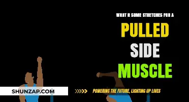 Effective Stretches to Relieve Pain from a Pulled Side Muscle