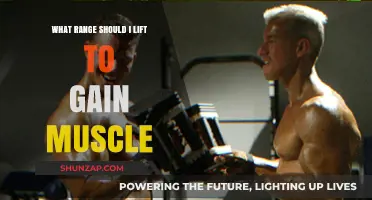 Optimal Rep Range for Muscle Growth: Building Strength and Size