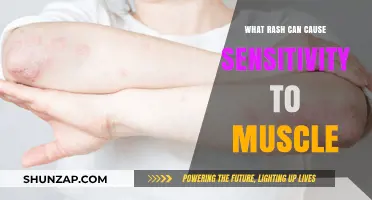 Uncovering Rashes Linked to Muscle Sensitivity: Causes and Symptoms Explained