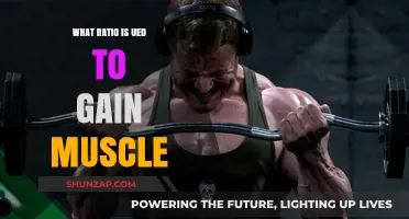 Optimal Macronutrient Ratio for Effective Muscle Gain and Growth