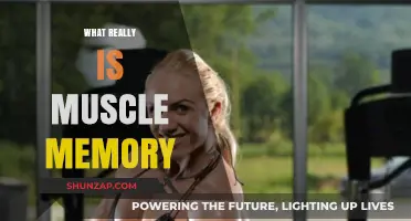 How Muscle Memory Works: The Science Behind It