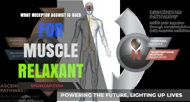 Muscle Relaxation: Receptor Agonists and Their Role in Treatment