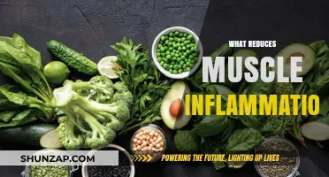 Muscle Inflammation: Natural Ways to Reduce and Heal