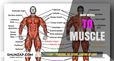 Muscle Talk: What 'Refers' to Muscles?