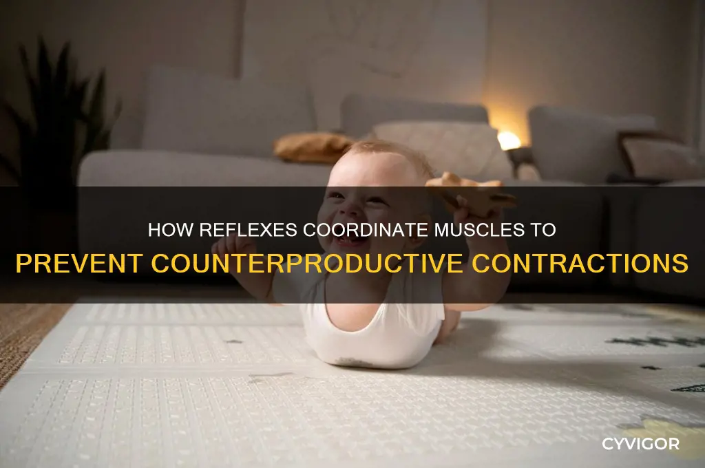 what reflexes prevents muscles from working against each other
