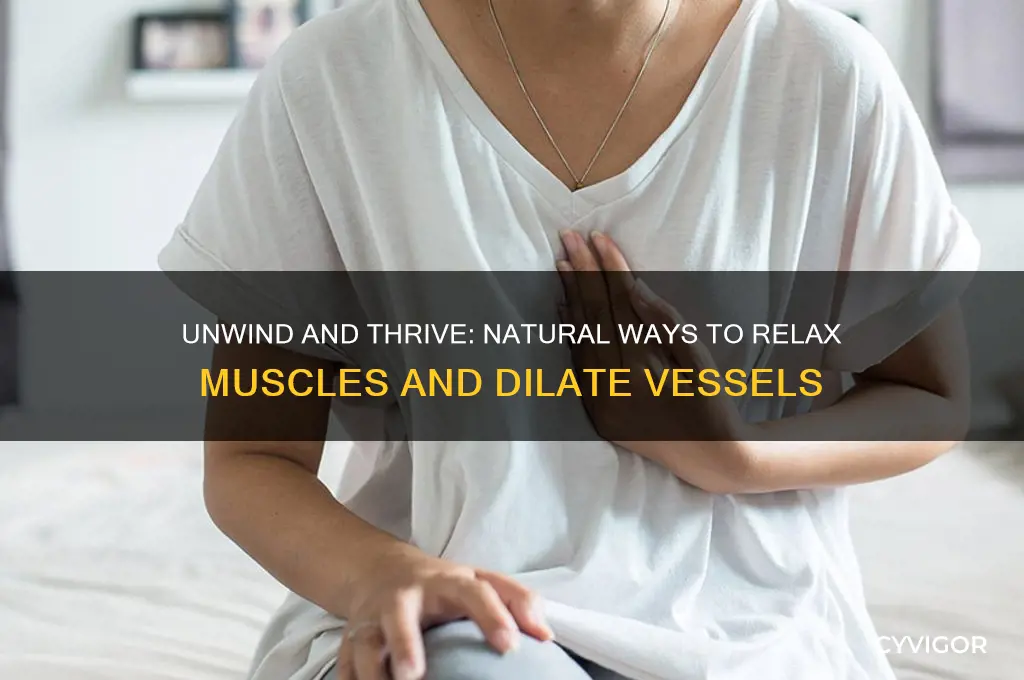 what relaxes muscles and dilates blood vessels