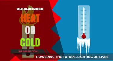 Heat vs. Cold: Which Therapy Best Relaxes Sore Muscles?