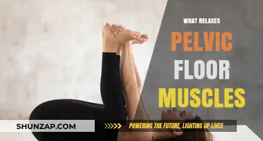 Effective Techniques to Relax and Release Tight Pelvic Floor Muscles
