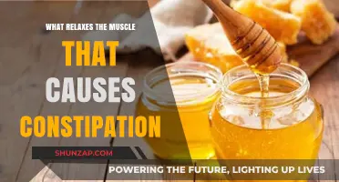 Natural Remedies to Relax Constipation-Causing Muscles for Relief