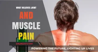 Effective Remedies to Relieve Joint and Muscle Pain Naturally